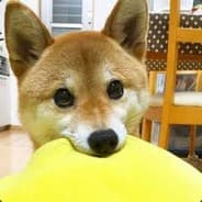 upo