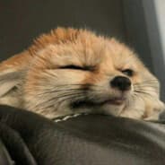 PAROK