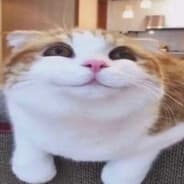 ooga booga