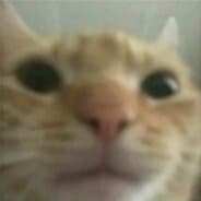 wlm