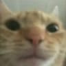 wlm