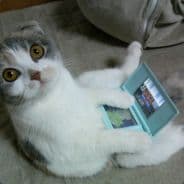The.Gaming.State