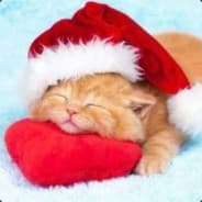 Coldjeera