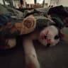 moxx.vfx