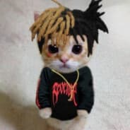 hachiroquuu