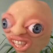 Gingerek