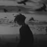 NightGuest