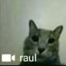 raul