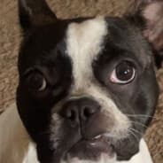 JuJu