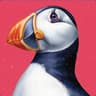 Puffin (•⌔• )