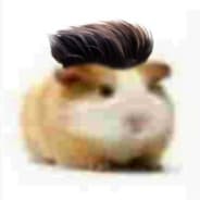 zxcaerrr?