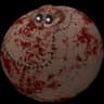 MrDrNose