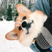 Kevin