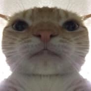 wenis