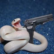 ķ.1 RATTLESNAKE