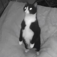 BOBBERIN
