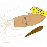 writersquid