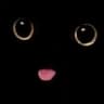 kattegatte