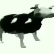 Dancing Cow