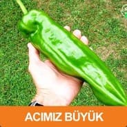 hanım bacanağı getir