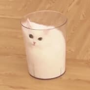 miso