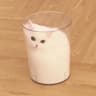 miso