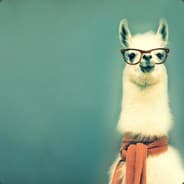 HyperAlpaca