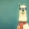 HyperAlpaca