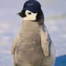 PenguinBoy420