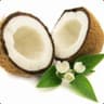 coconutbar3