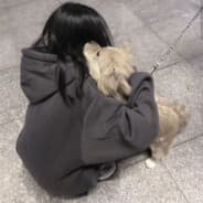 kissa