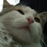 Noseb0
