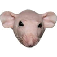 Коровий Кирпич
