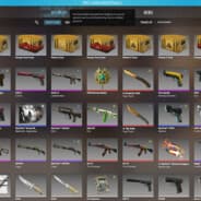 VAC CSGO2 :(