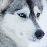 Happy_xaski