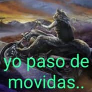 lobo solitario