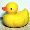 Hardi Duck