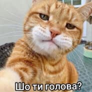 viktorkitkat