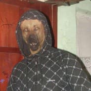Tomzik