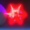 RedLeeaf