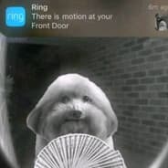 Sapangetit