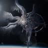 eve
