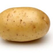 Potato