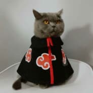 FAKE ????????????????????????