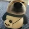 pookibear
