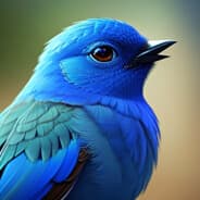 BLUEBIRD810 | Dave