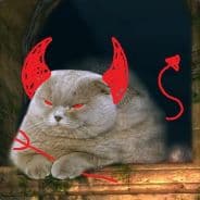Synkc