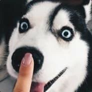 Gajeelek