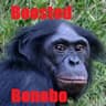 Boosted Bonobo