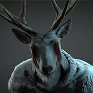 RocketDonkey